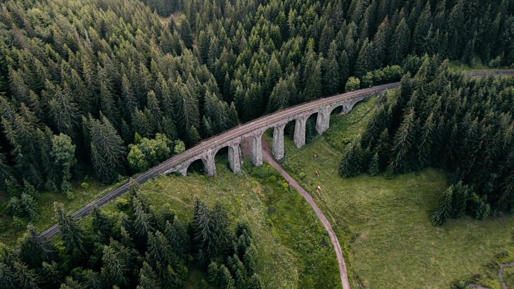 Graue Betonbrücke auf grünem Grasfeld
