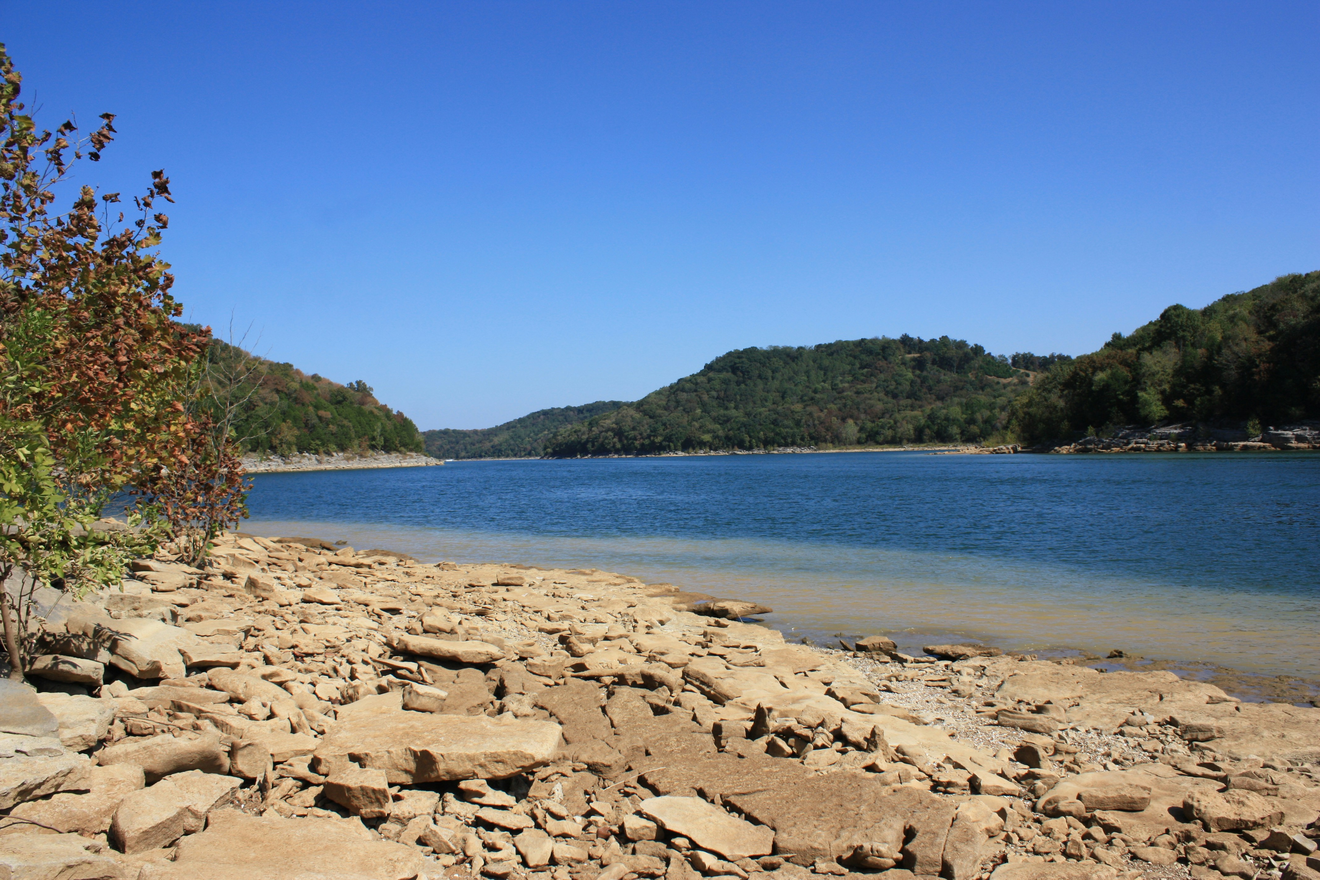 Photo by carliephotography