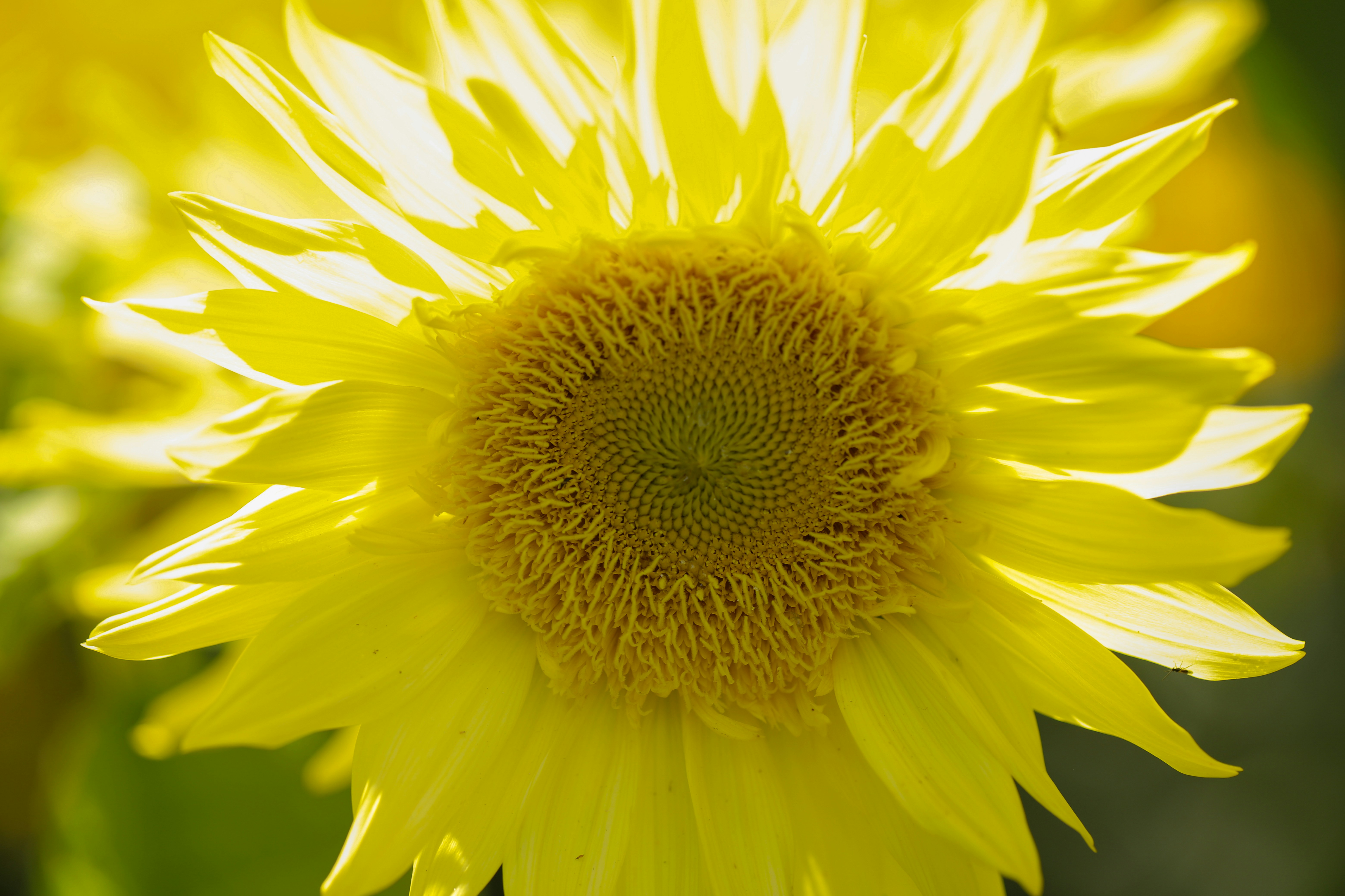 Photo by michaelbweidner