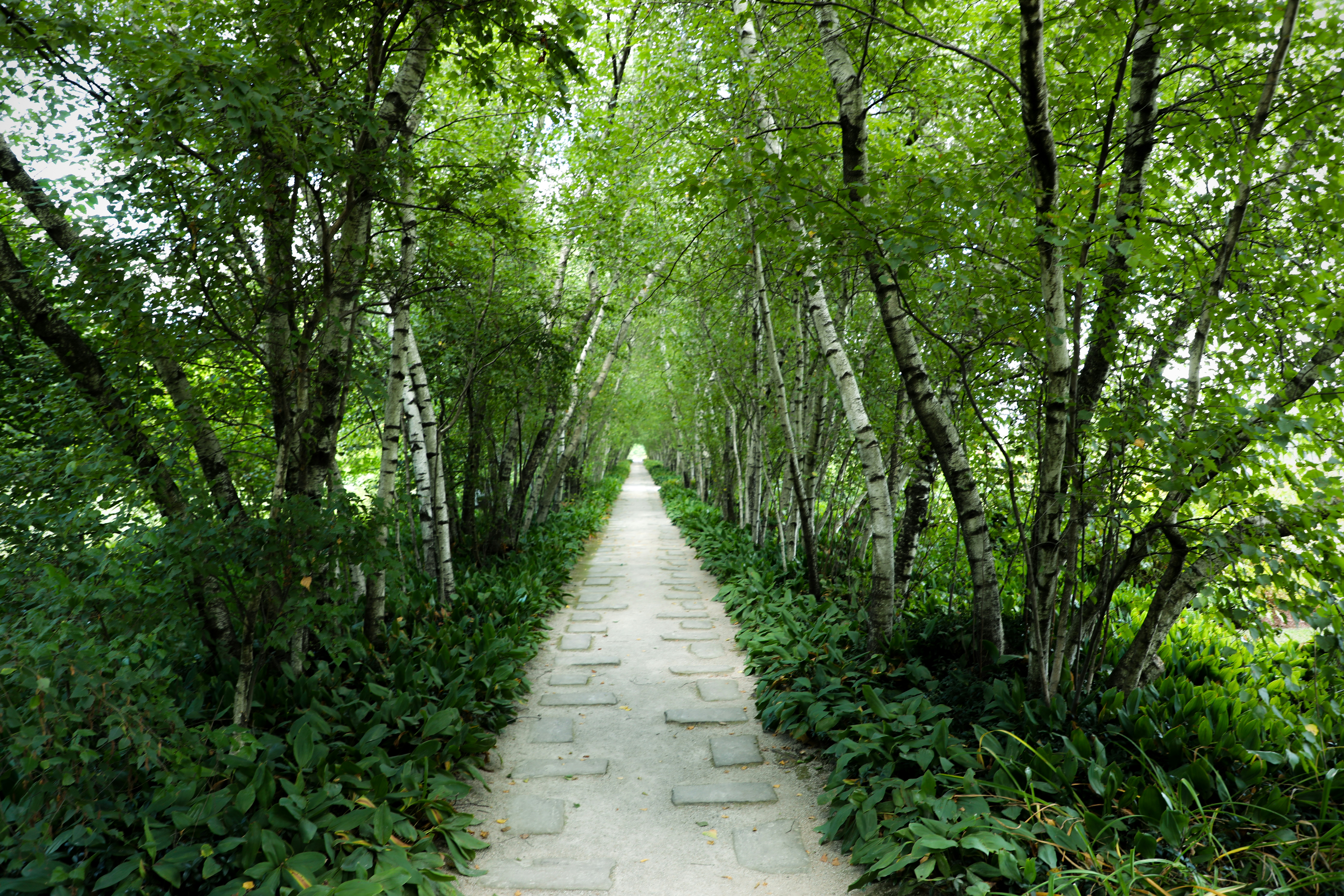 Photo by michaelbweidner