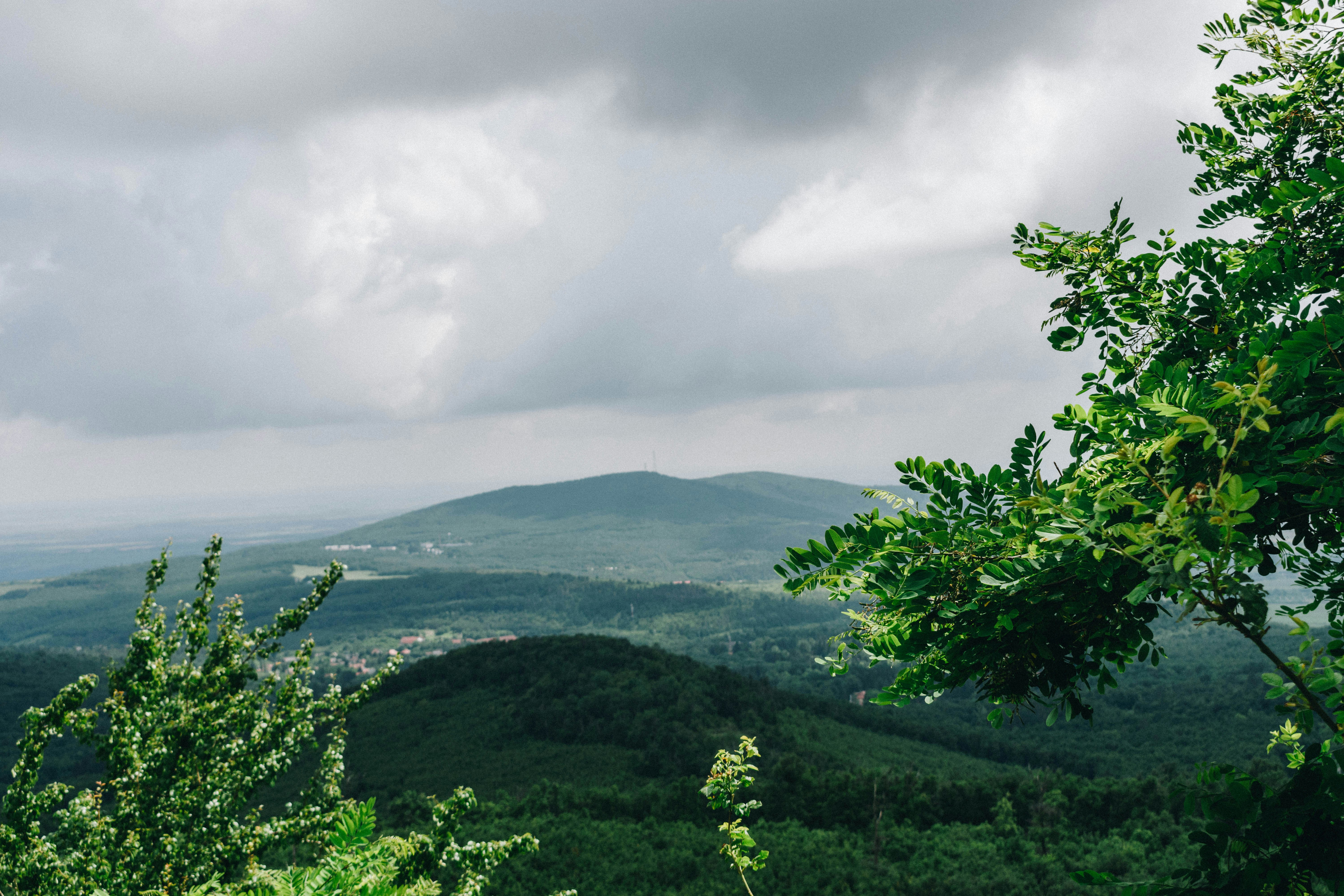 Photo by gabor_veres