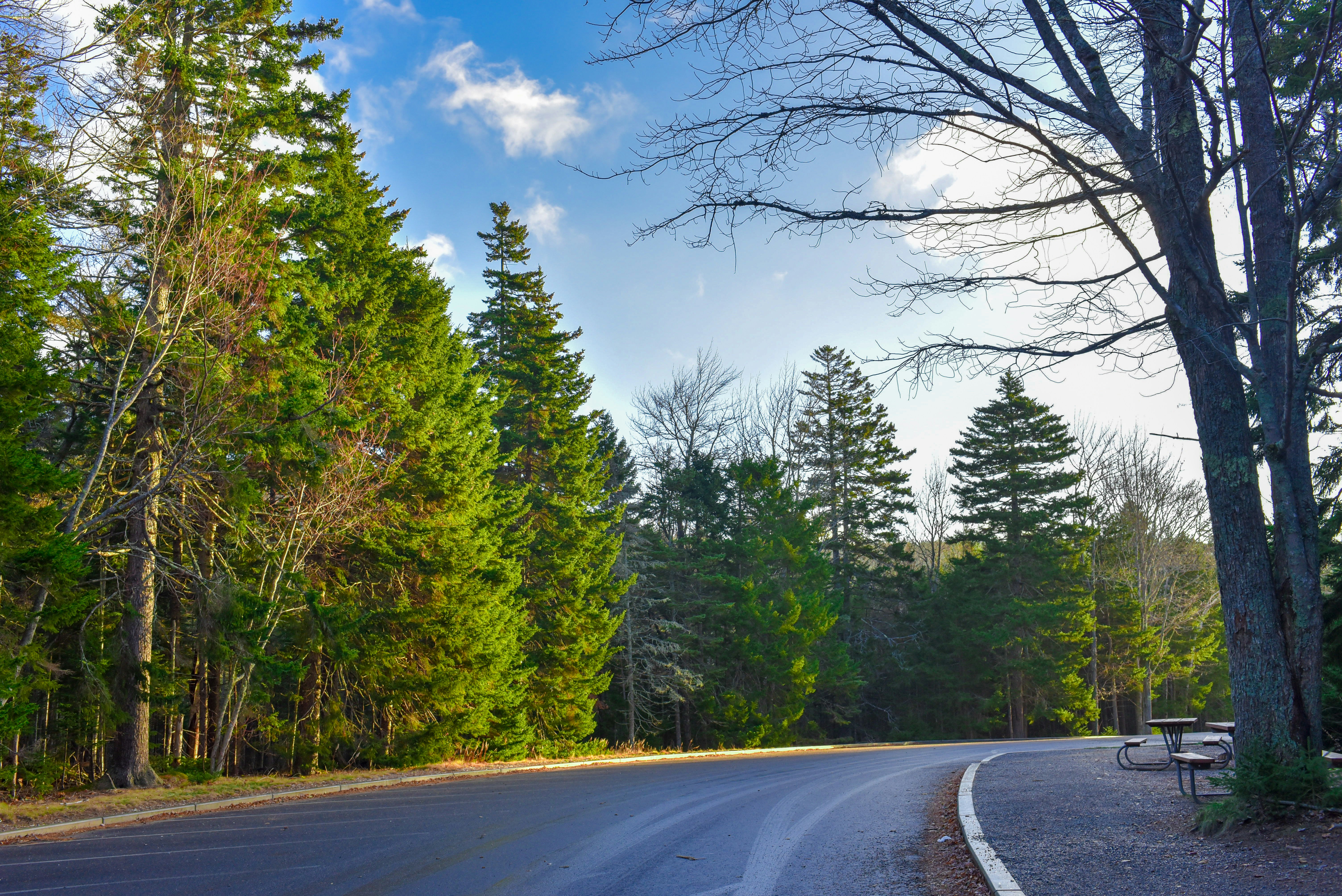 A parking lot in Acadia National Park, USA. November 2017.