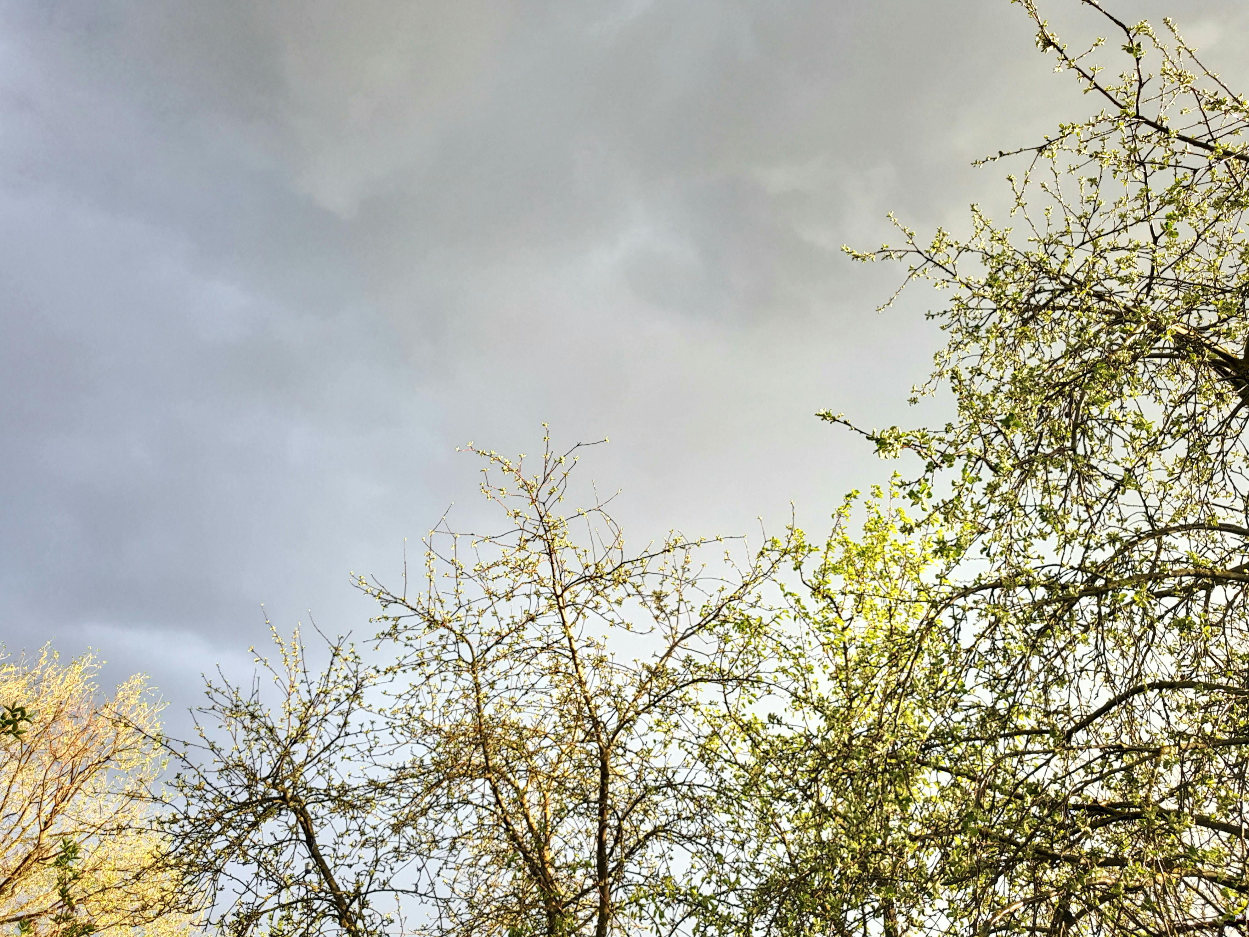 Photo by juliacertain