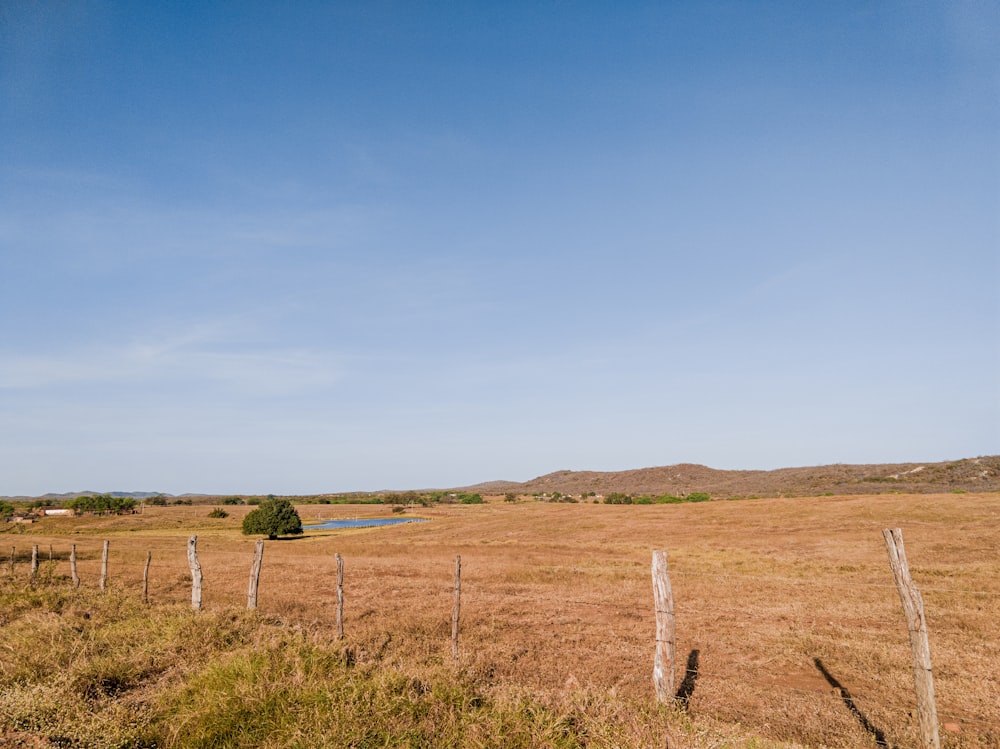 green grass field under blue sky during daytime