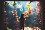 A child stands in front of a large aquarium, captivated by the vibrant underwater scene. Various types of seaweed in shades of orange and green hang within the water, and starfish are visible clinging to the glass. The background is filled with diverse marine life and coral structures, suggesting a colorful and lively aquatic environment.