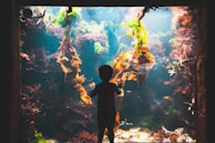 A child stands in front of a large aquarium, captivated by the vibrant underwater scene. Various types of seaweed in shades of orange and green hang within the water, and starfish are visible clinging to the glass. The background is filled with diverse marine life and coral structures, suggesting a colorful and lively aquatic environment.