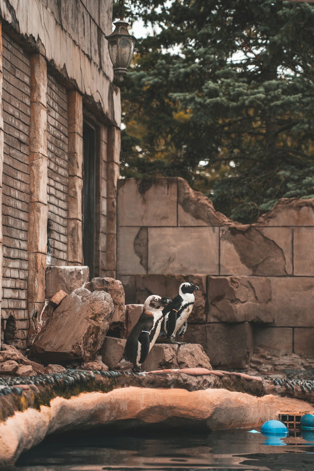 man and woman sitting on rock during daytime