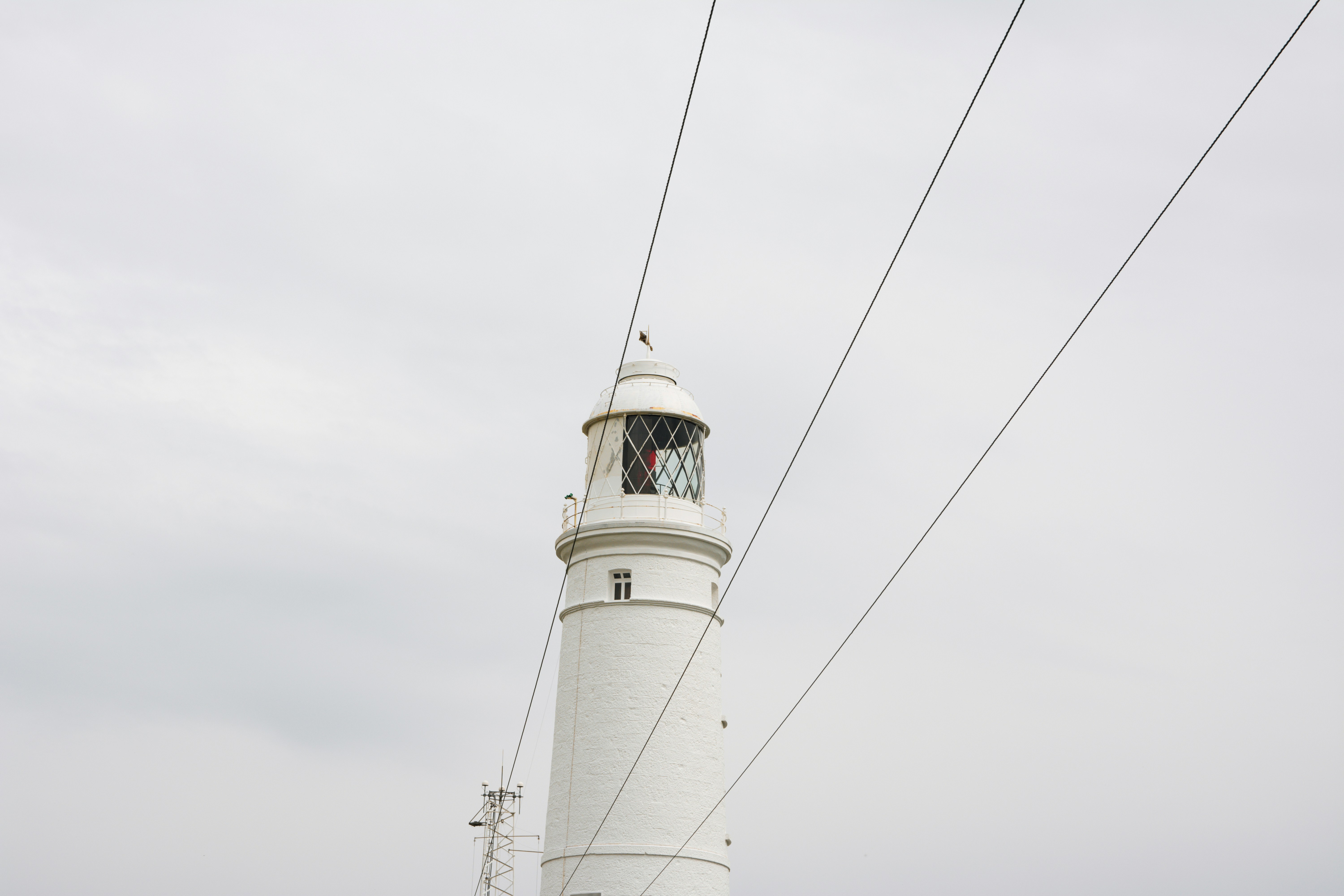 Photo by rona_dainty