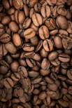 brown coffee beans in close up photography