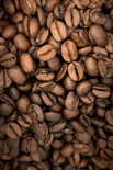 brown coffee beans in close up photography