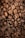A close-up view of roasted coffee beans piled together, showcasing their rich brown color and various sizes. The beans have visible textures and natural grooves, indicating their quality and roast level.