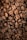 A close-up view of roasted coffee beans piled together, showcasing their rich brown color and various sizes. The beans have visible textures and natural grooves, indicating their quality and roast level.