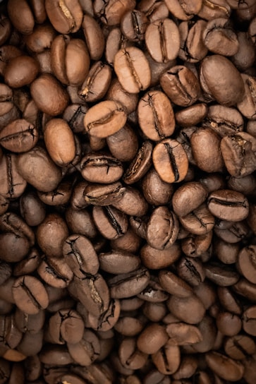 A close-up view of roasted coffee beans piled together, showcasing their rich brown color and various sizes. The beans have visible textures and natural grooves, indicating their quality and roast level.