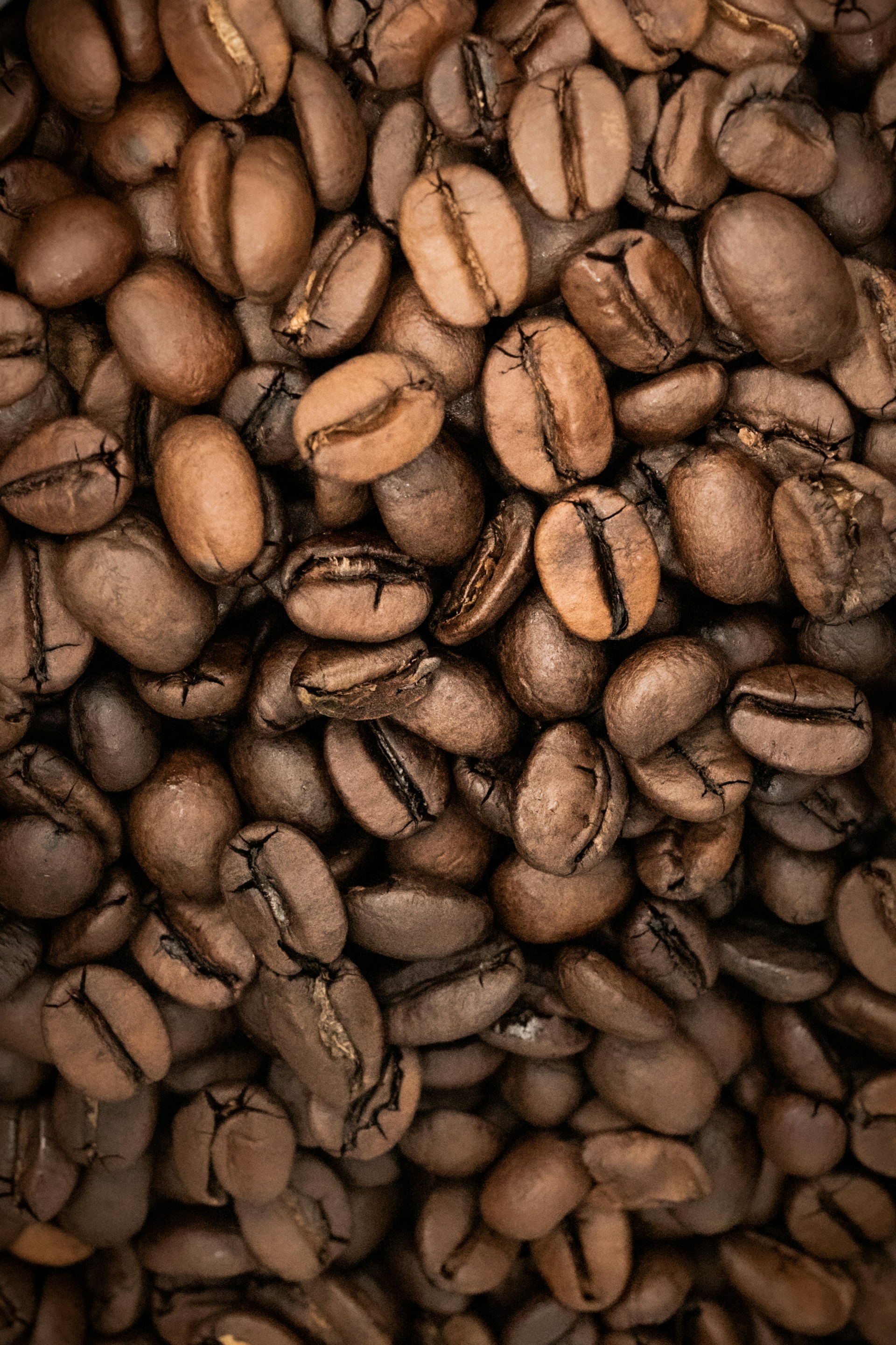A close-up view of roasted coffee beans piled together, showcasing their rich brown color and various sizes. The beans have visible textures and natural grooves, indicating their quality and roast level.