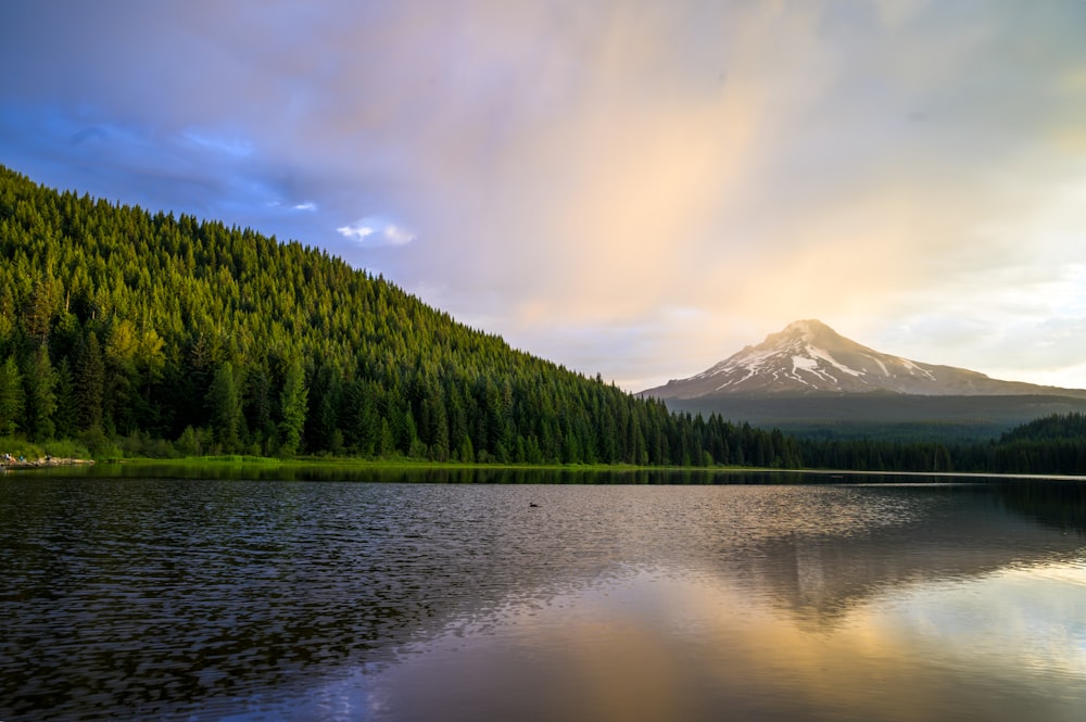 árvores verdes perto do lago sob nuvens brancas e céu azul durante o dia