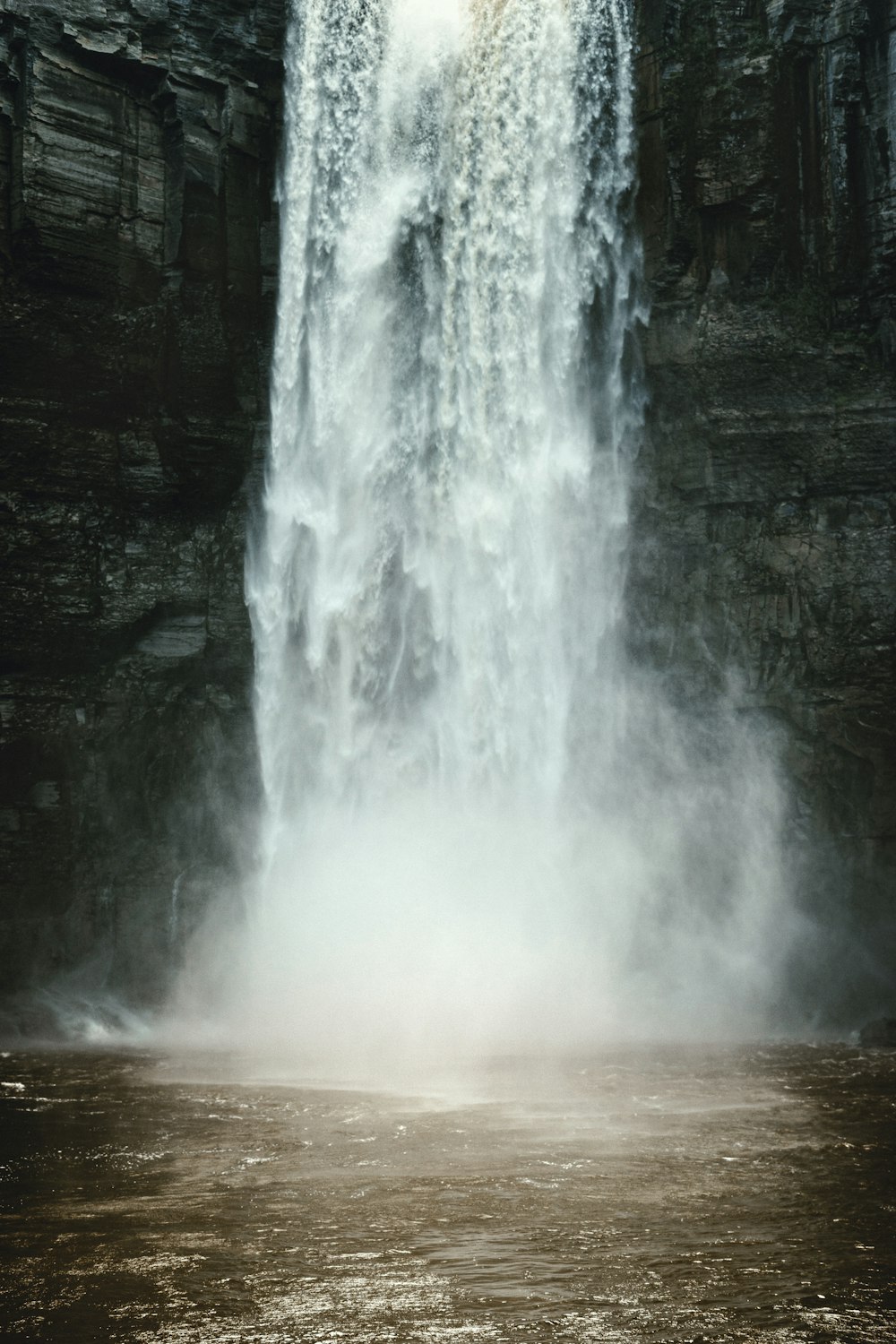 L'acqua cade in mezzo alla foresta