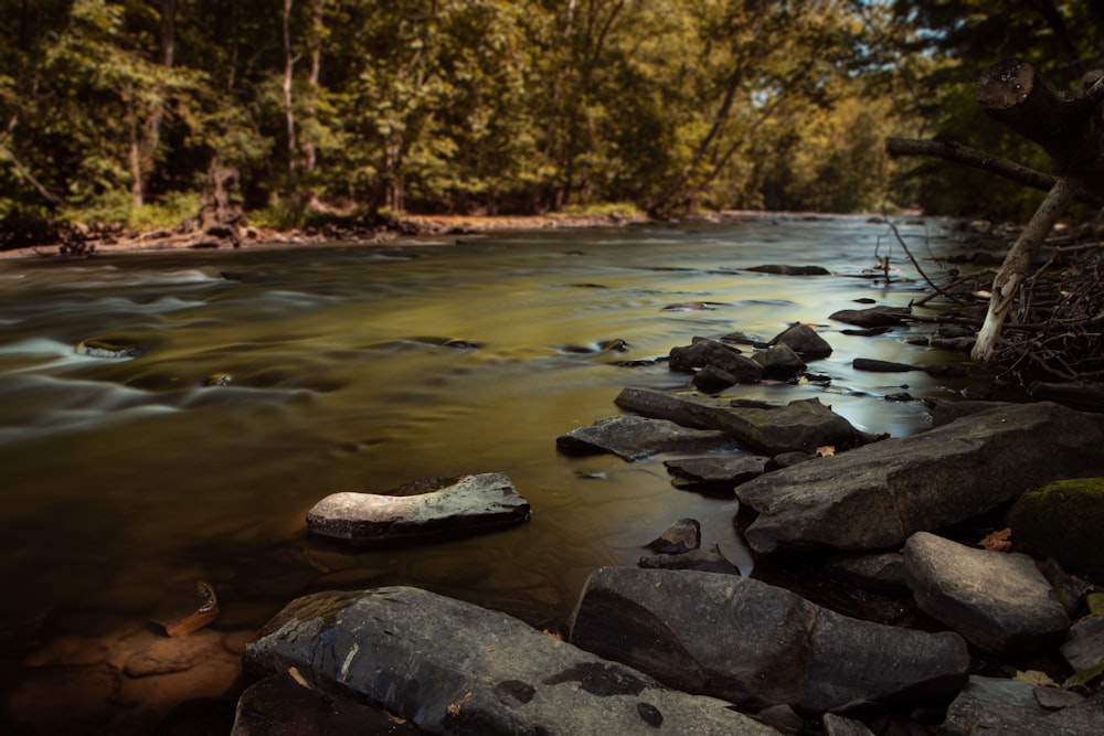 roches grises sur la rivière pendant la journée