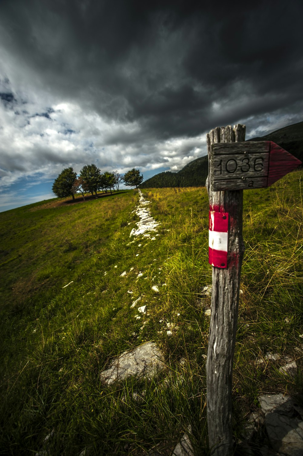 brown wooden cross on green grass field under blue sky during daytime