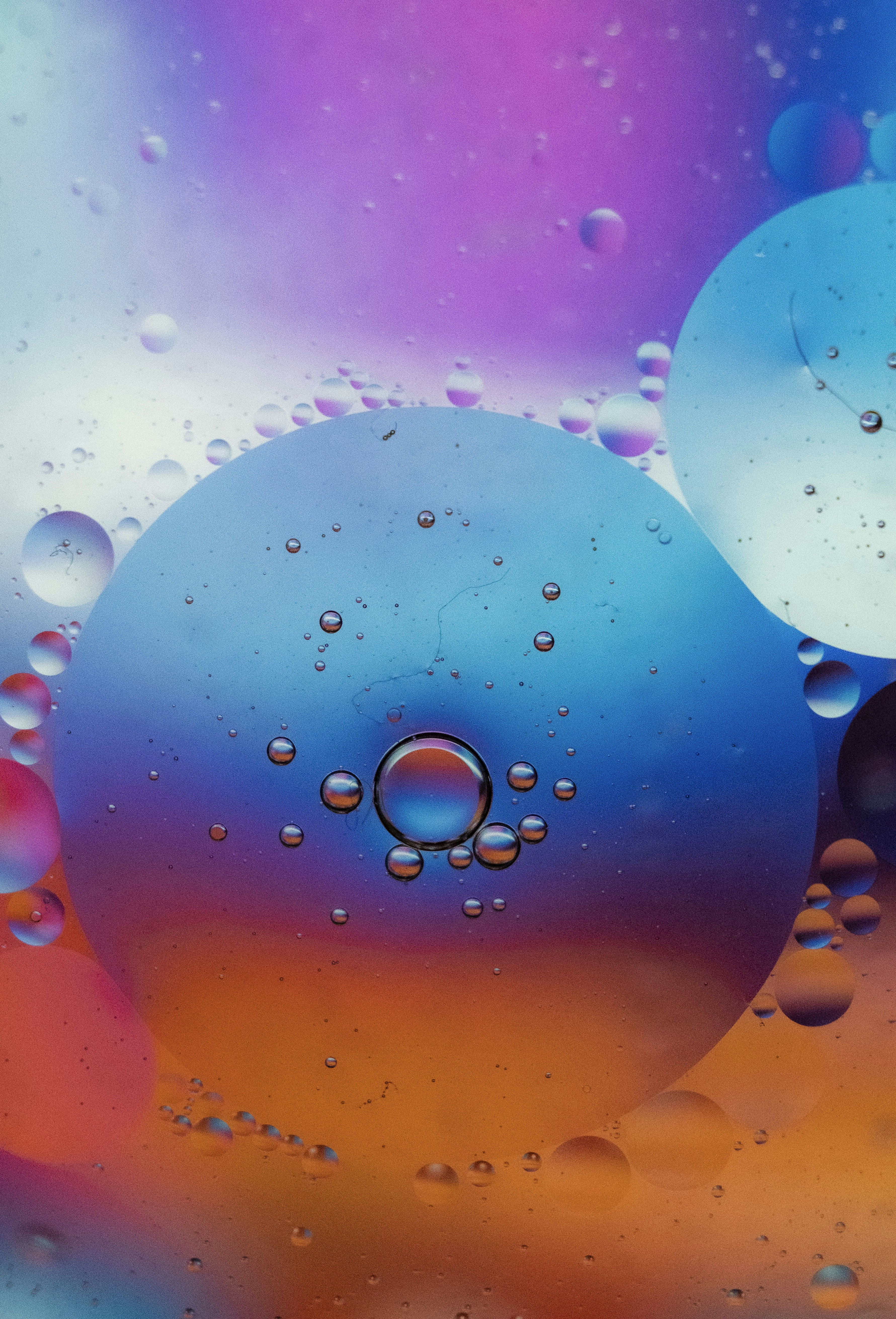 Photo by moritz_photography