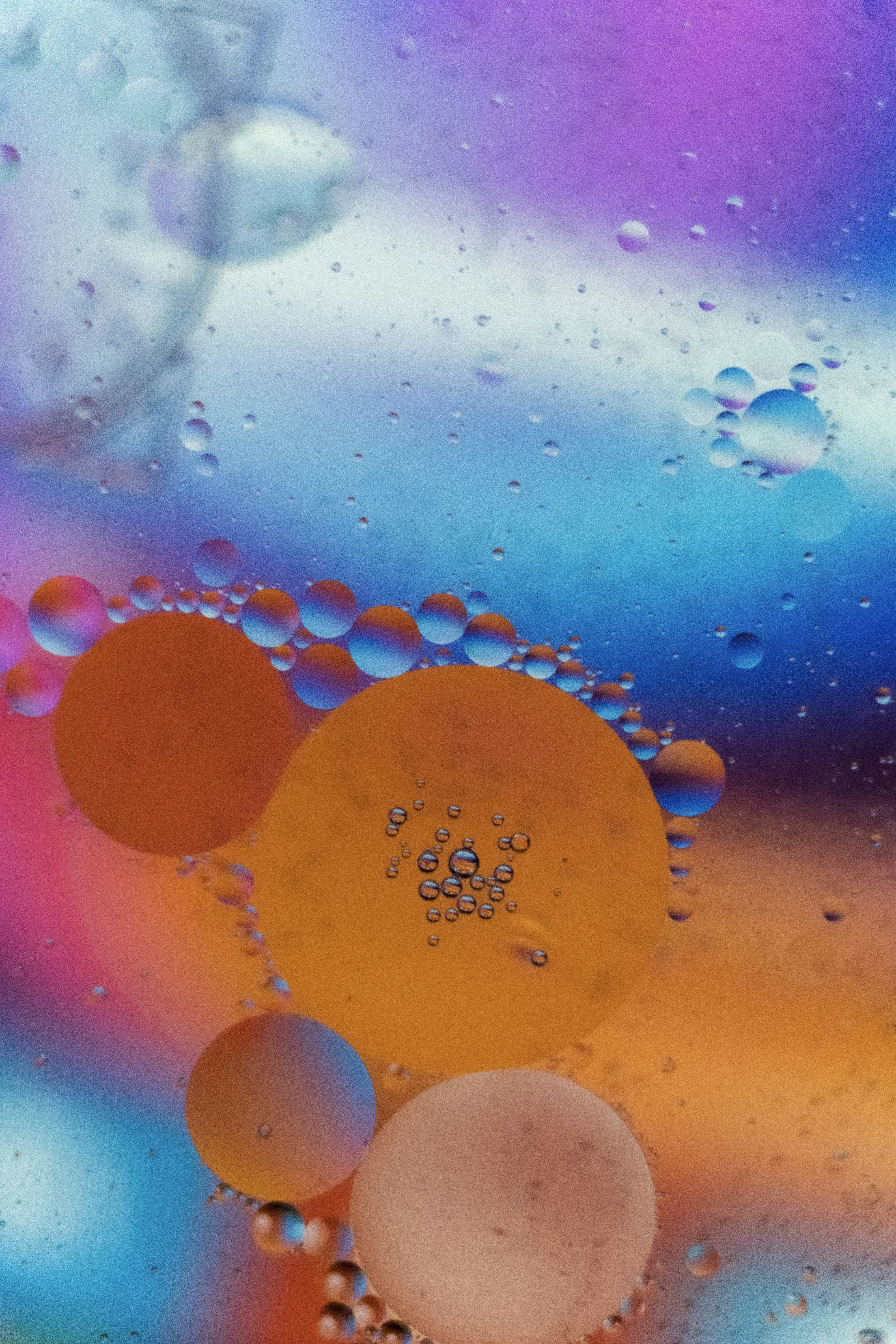 Photo by moritz_photography