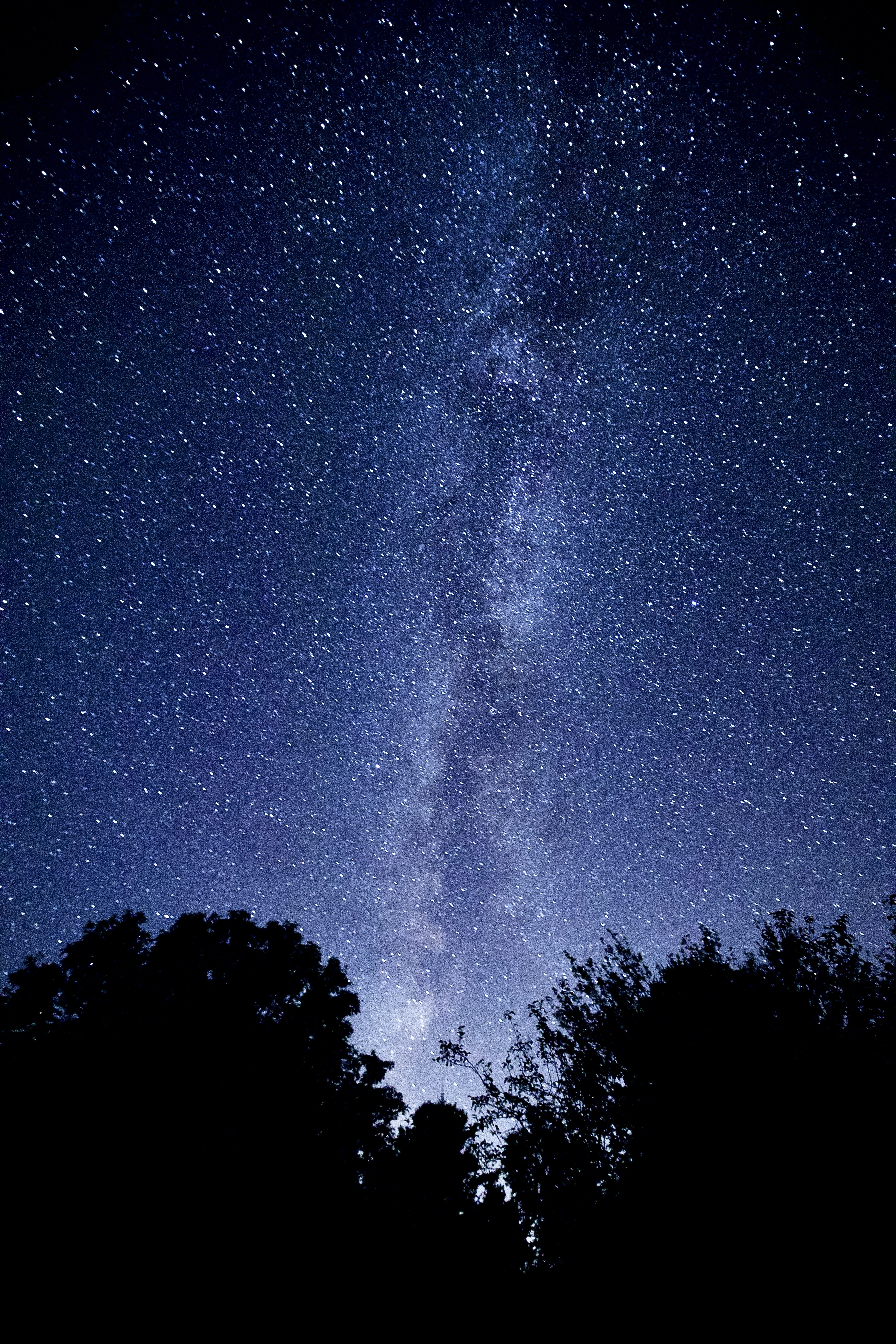 Photo by rumielmaxime