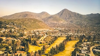 aerial view of green trees and mountains during daytime