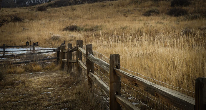 Weathered rail fence through tall dry grass