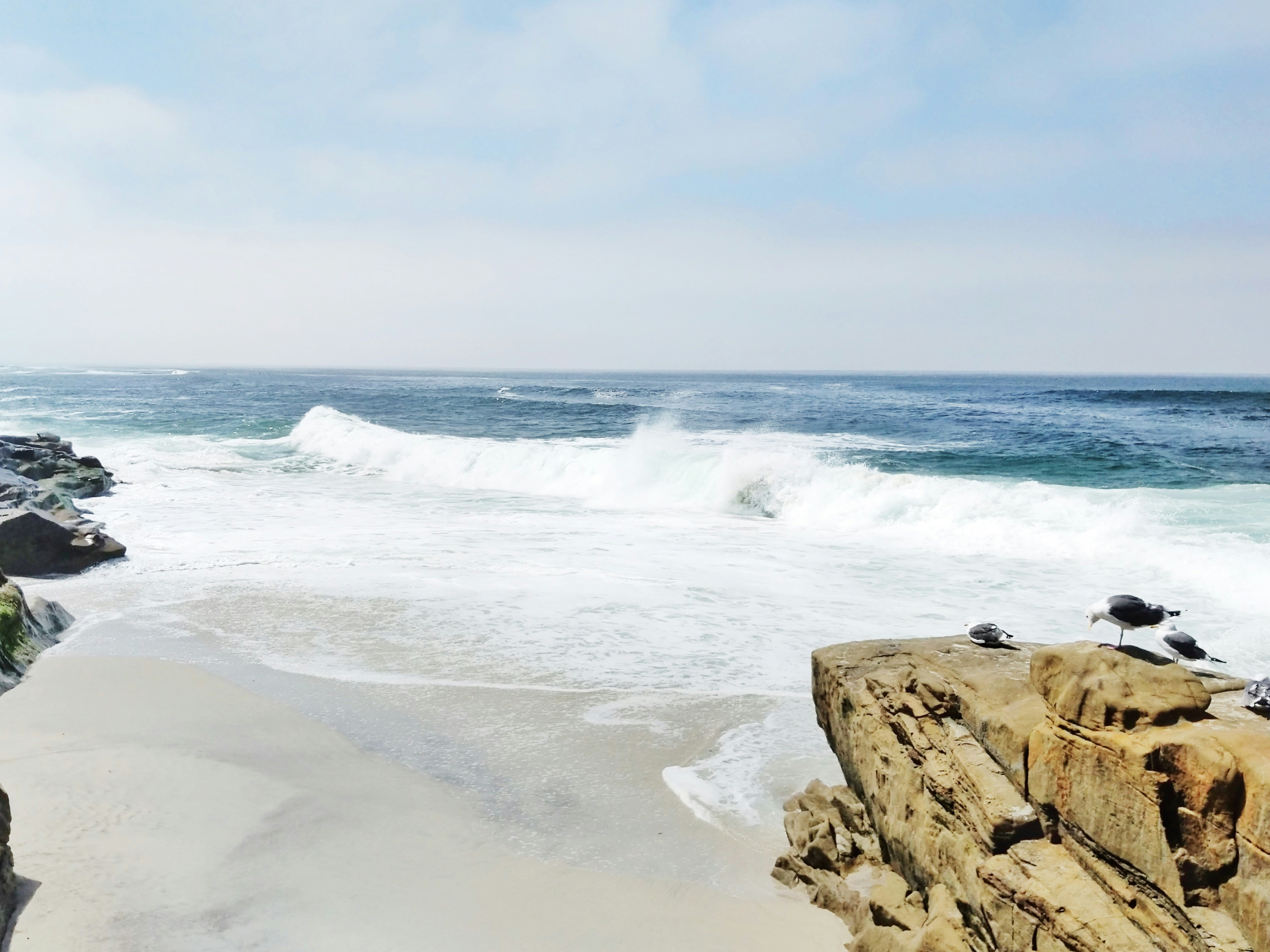 Photo by ccfrancisbooks