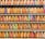 A collection of vintage train tickets displayed in rows, each ticket held in place by a metal clip. They feature various shades of orange, yellow, and blue with printed text denoting different destinations and travel information. Some tickets have bold, colorful highlights in pink and green, adding contrast to the overall muted tones.