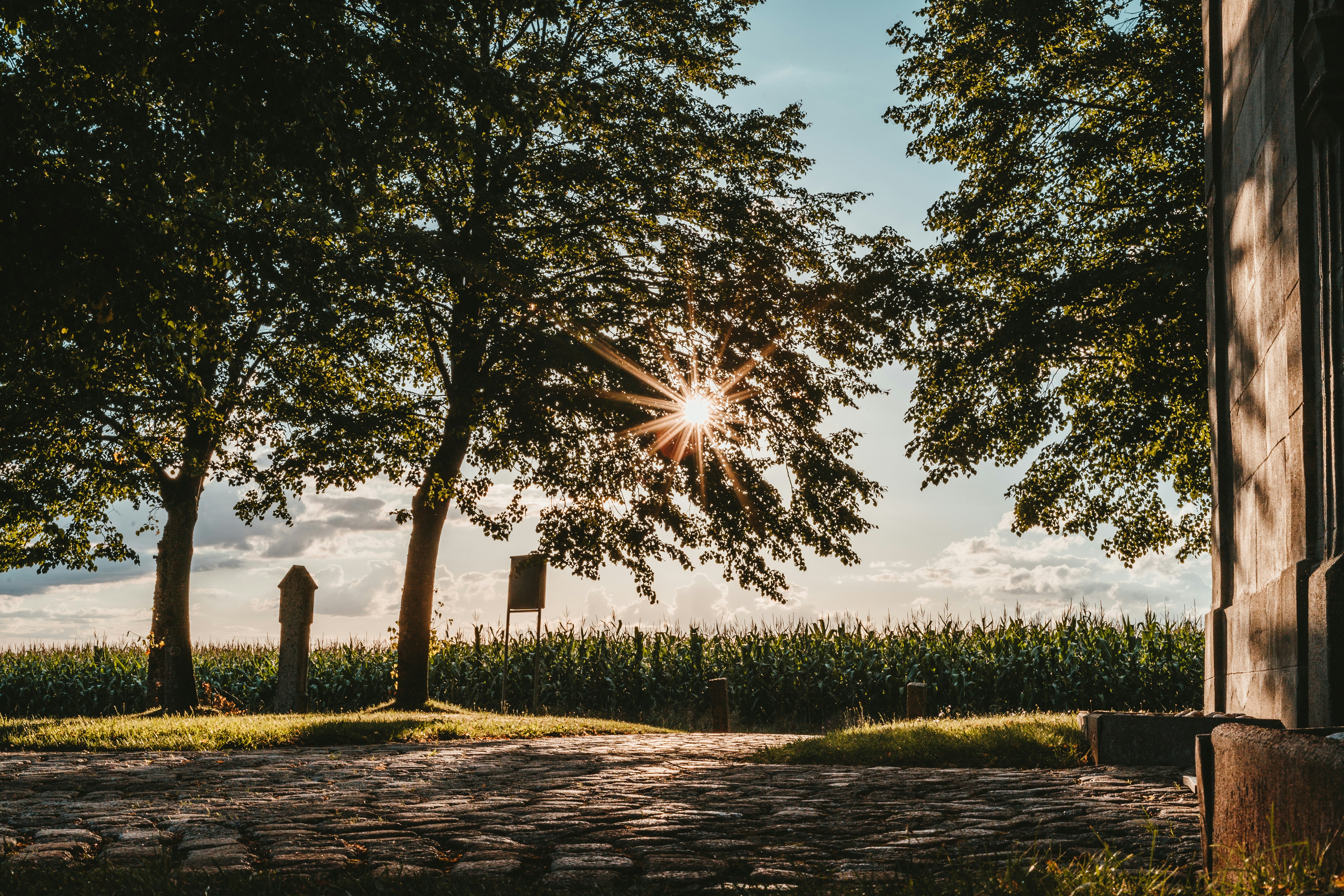 Photo by julianhochgesang