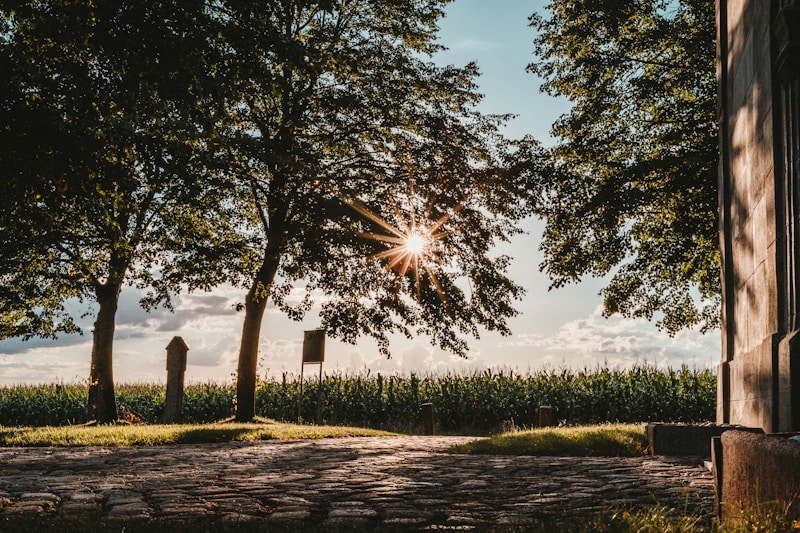 Retro Flare