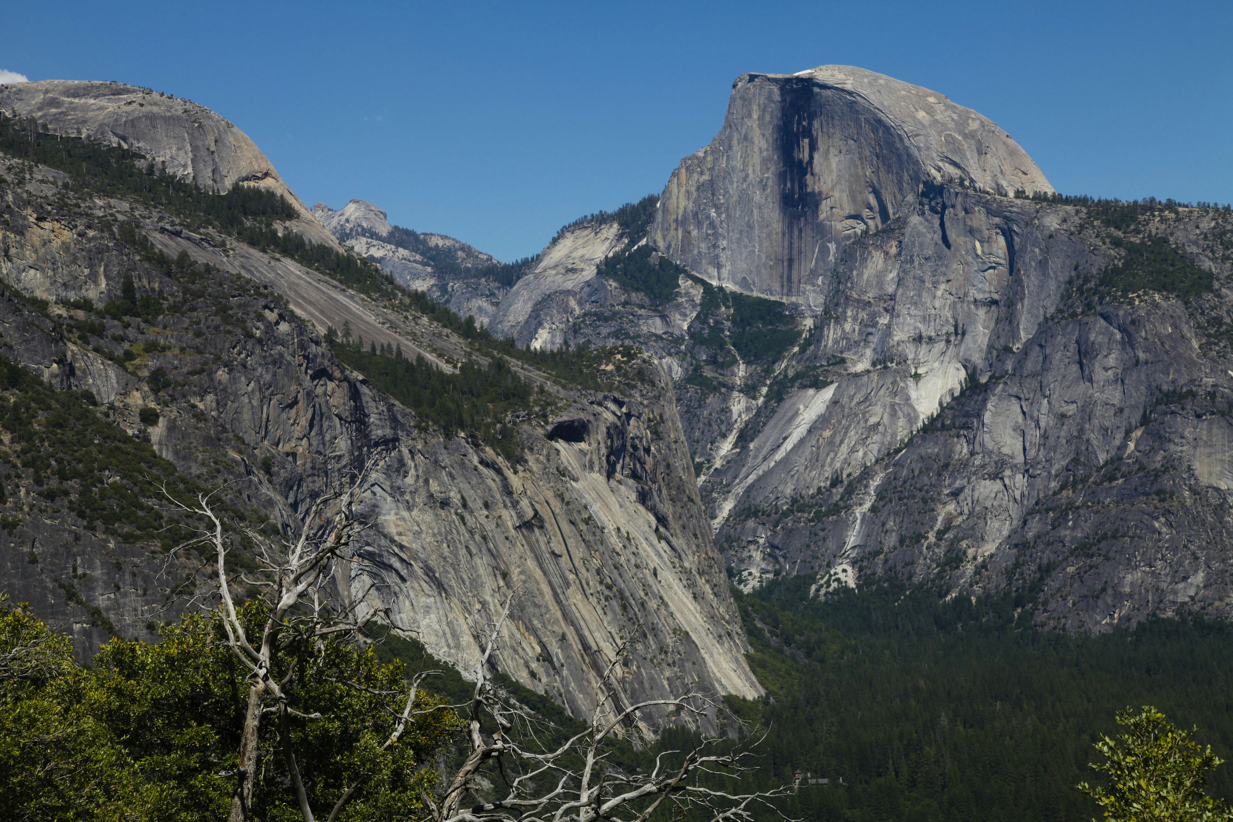 Photo by thelovelygeek