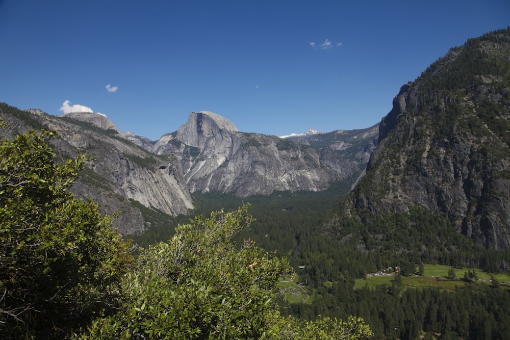 green trees and gray mountains under blue sky during daytime