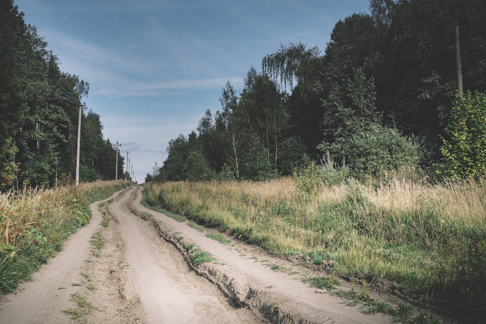 brown dirt road between green grass field under blue sky during daytime