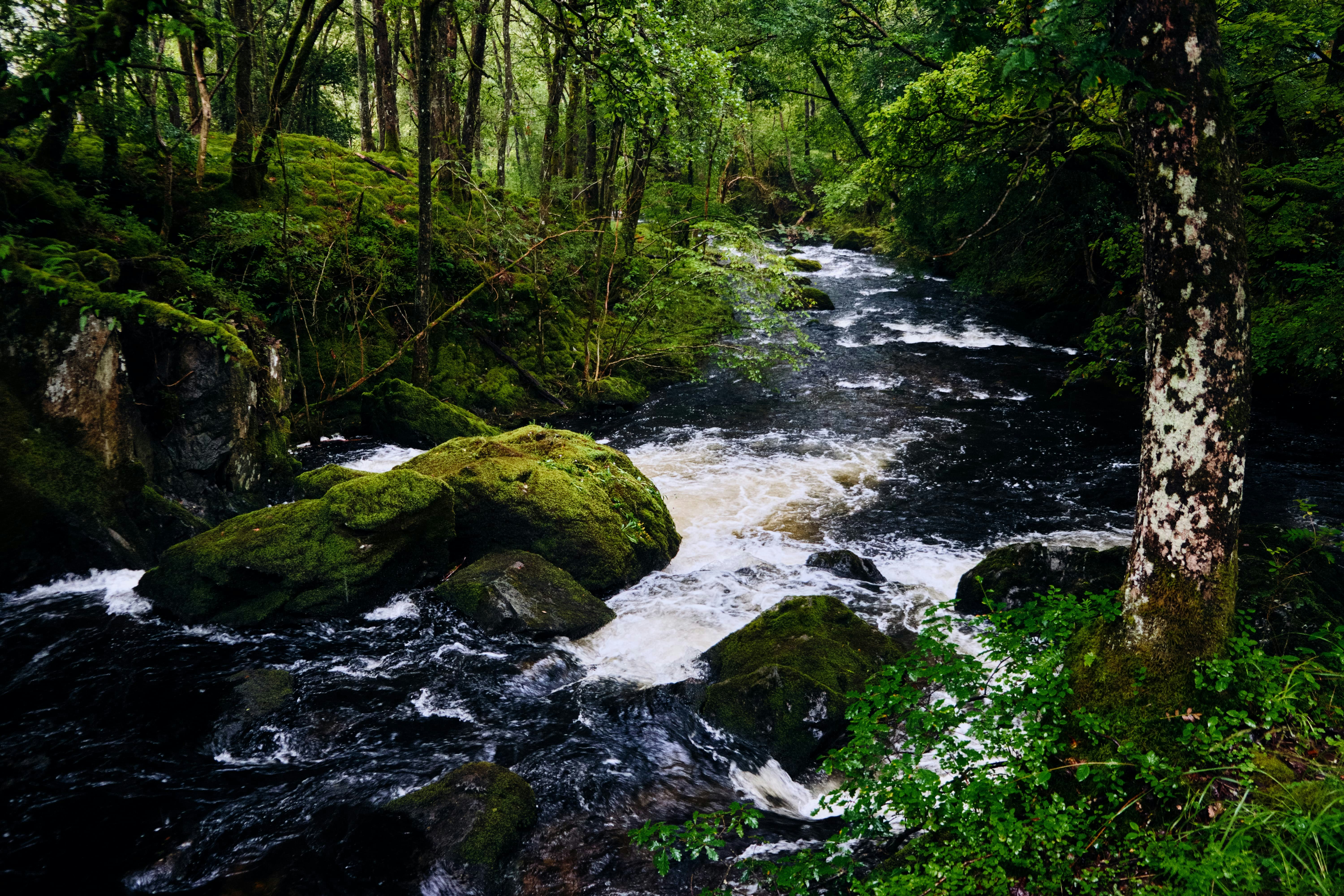 Everything was looking particularly lush in the rain whilst heading up to Colwith Force.