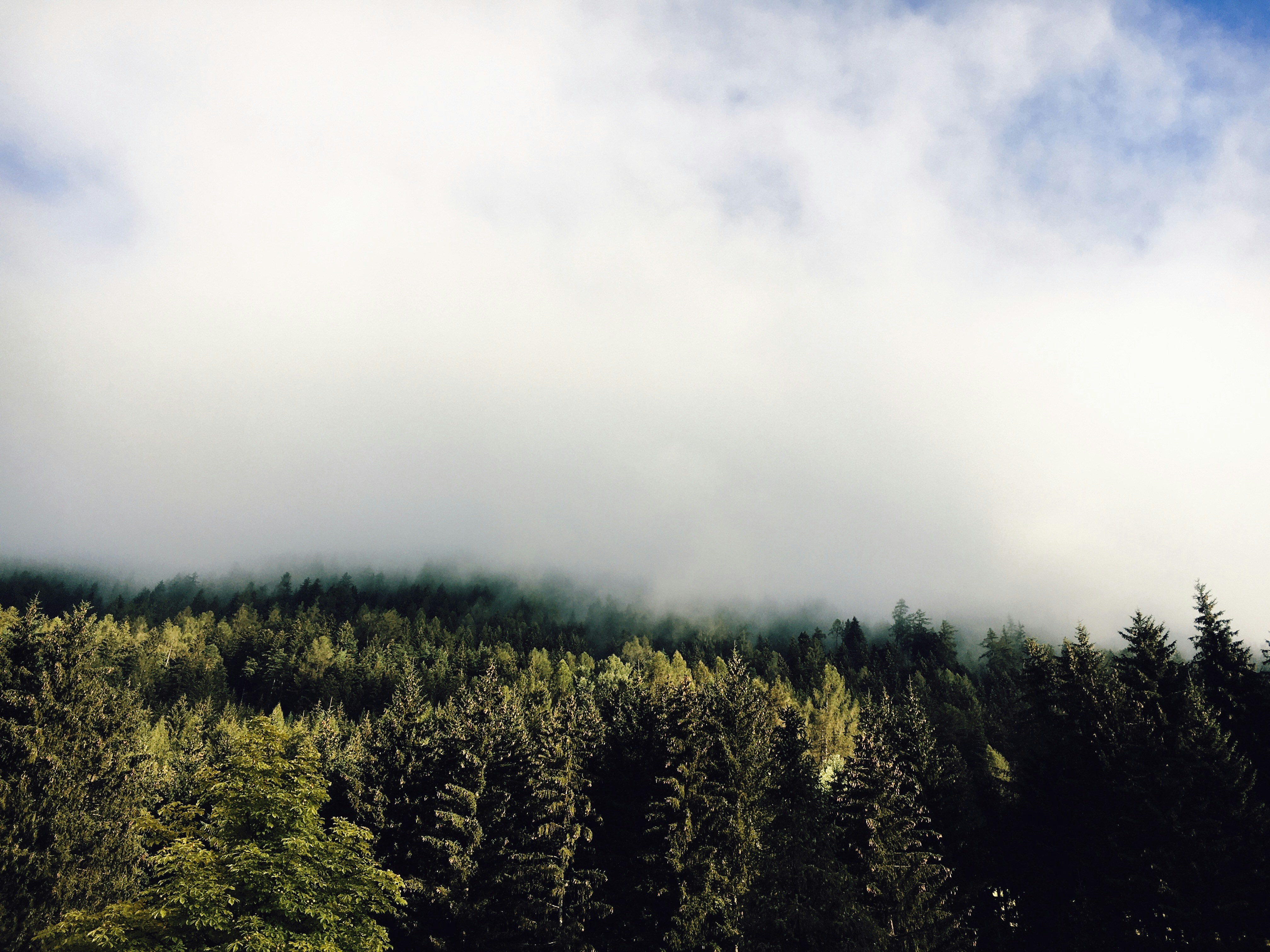 Photo by michaelmartinelli