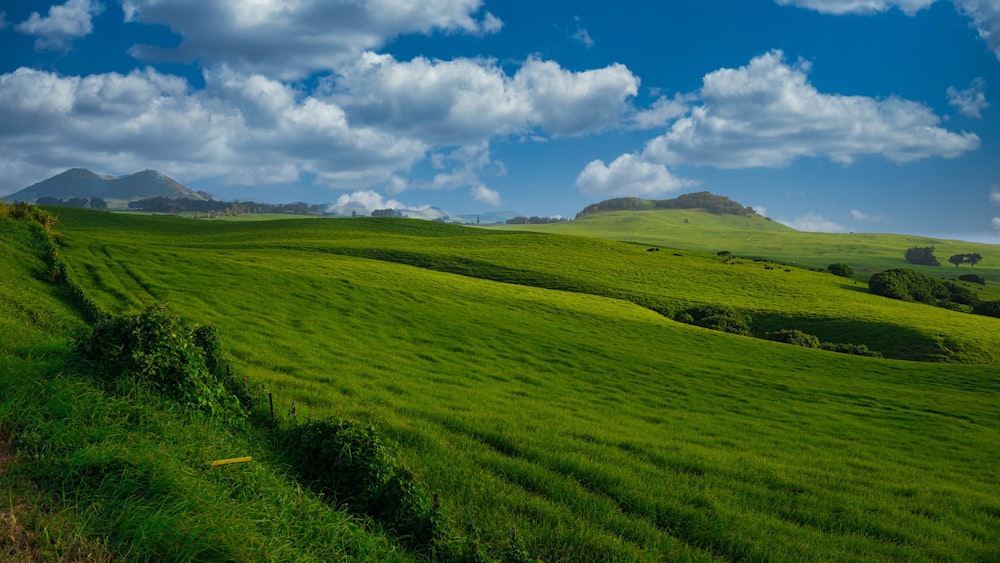 green grass field under blue sky and white clouds during daytime