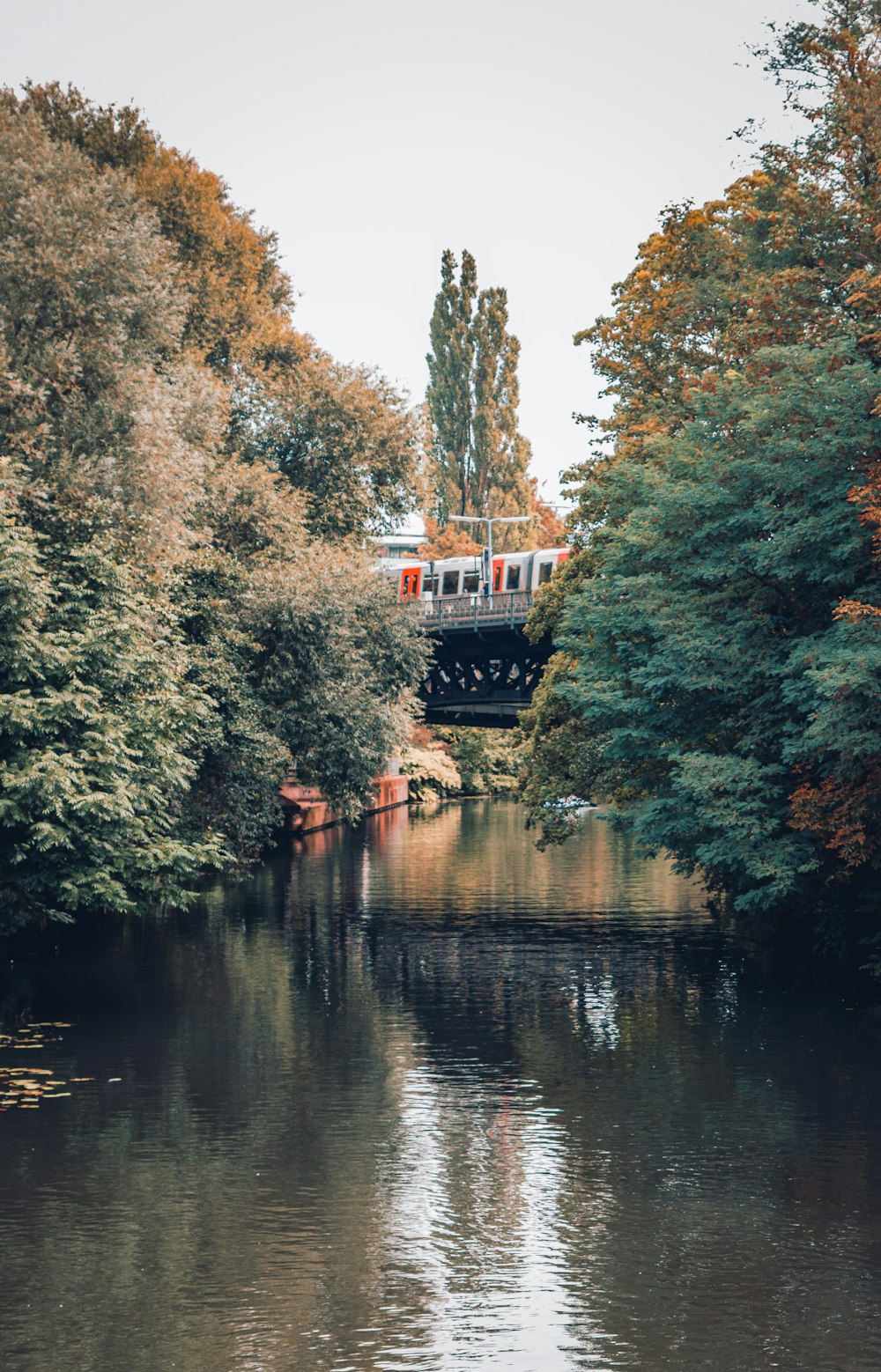 red and white boat on river during daytime