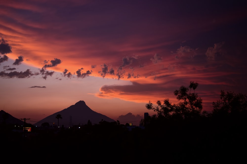 silhouette of trees under orange and blue sky