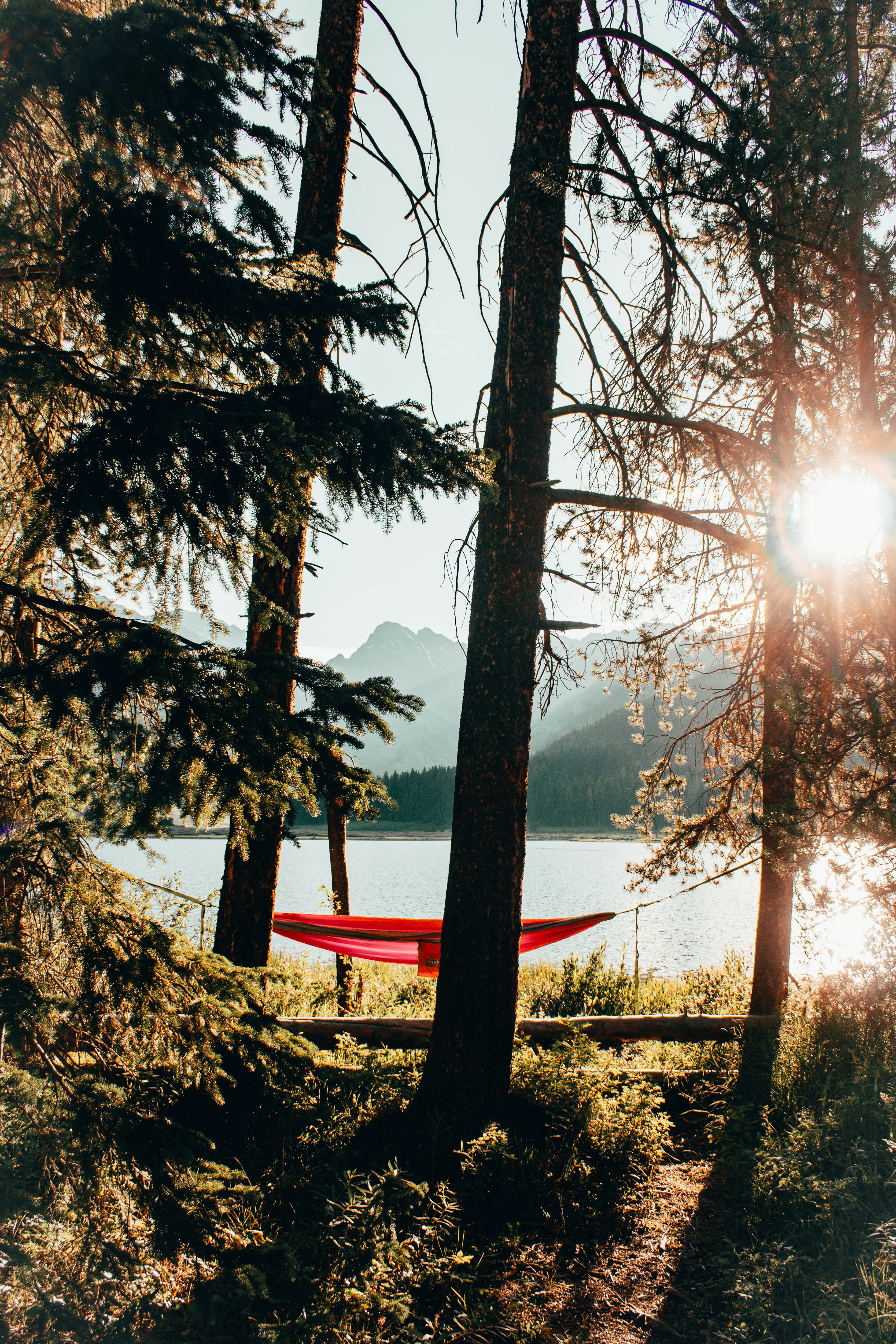 Photo by rebekahblocker