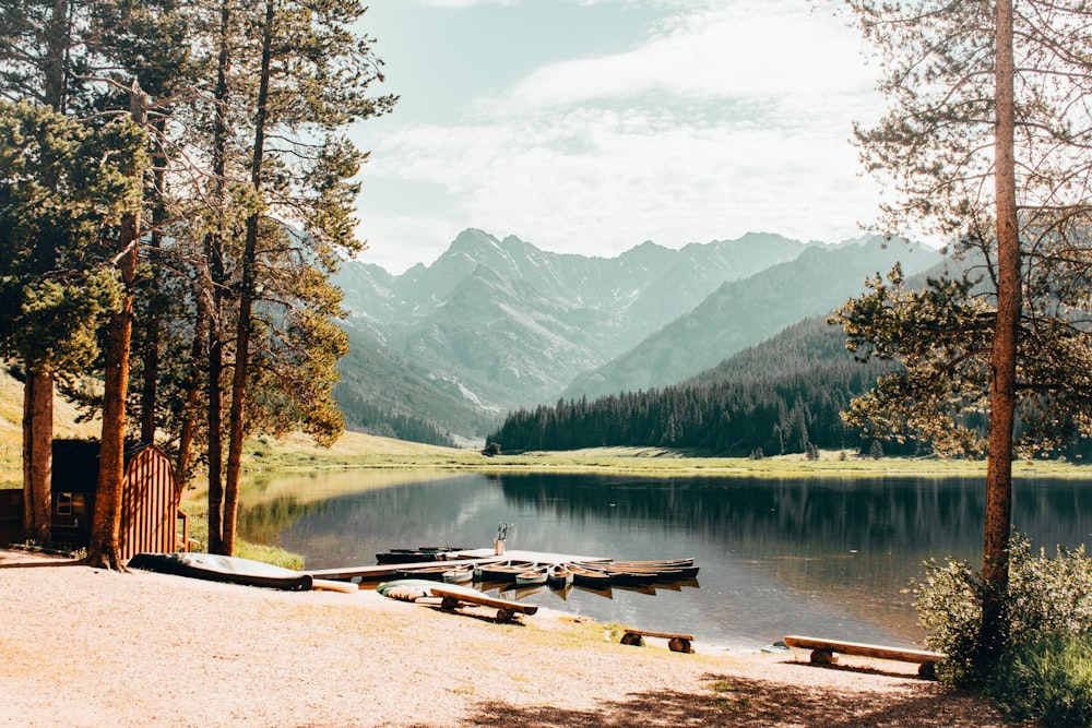 brown wooden dock on lake near green trees and mountains during daytime