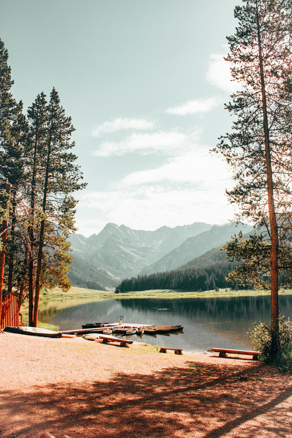 Tables de pique-en bois brun près du lac et des arbres pendant la journée