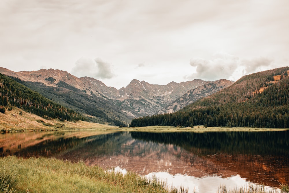 Champ d’herbe verte près du lac et des montagnes pendant la journée