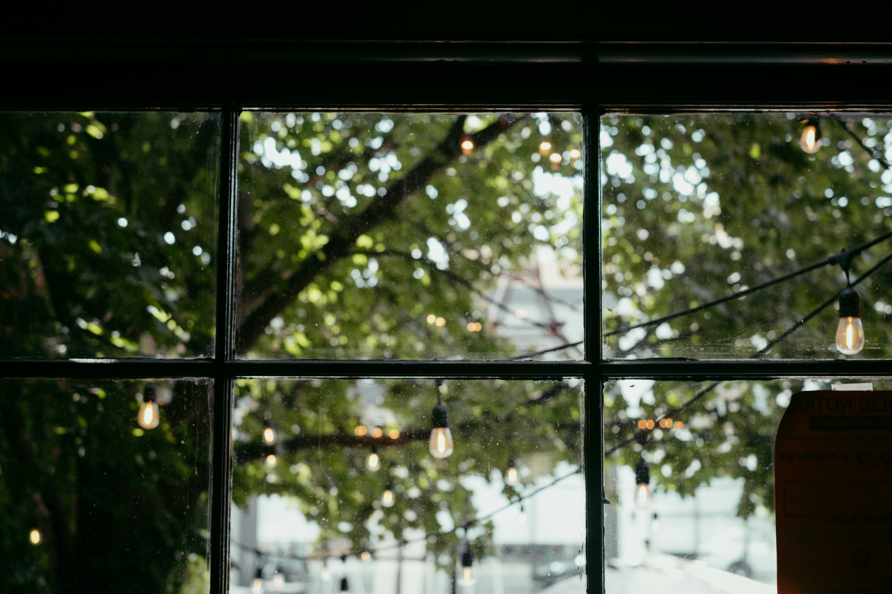 Photo by isaaciverson