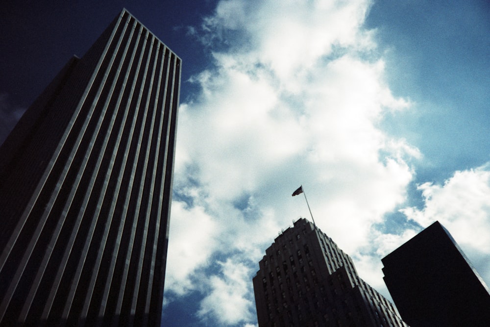 low angle photography of high rise building under blue sky during daytime