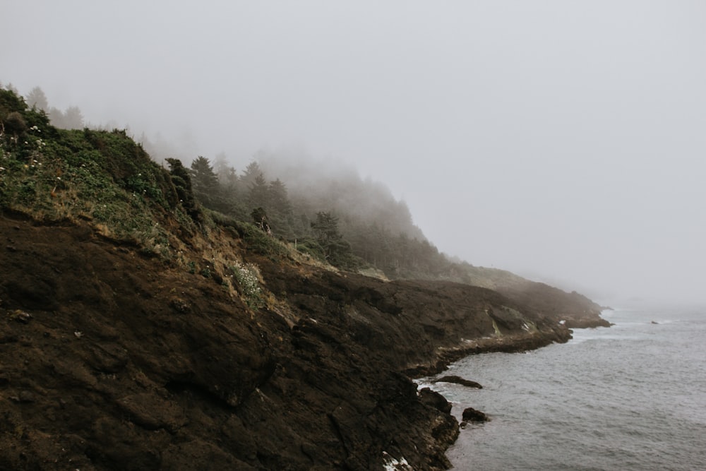 green trees on mountain near body of water during foggy day