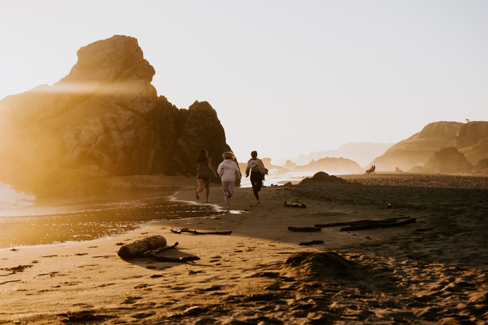 낮에 갈색 모래 해변을 걷는 사람들