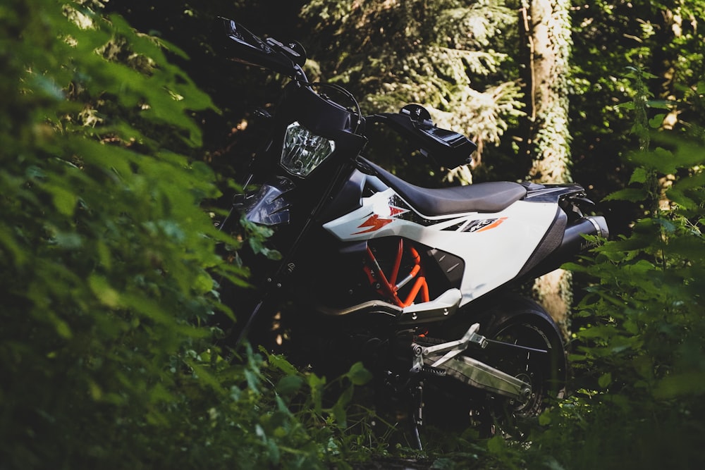 black and red motorcycle parked beside green plants