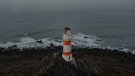 white and red lighthouse near body of water during daytime in Cape Palliser New Zealand