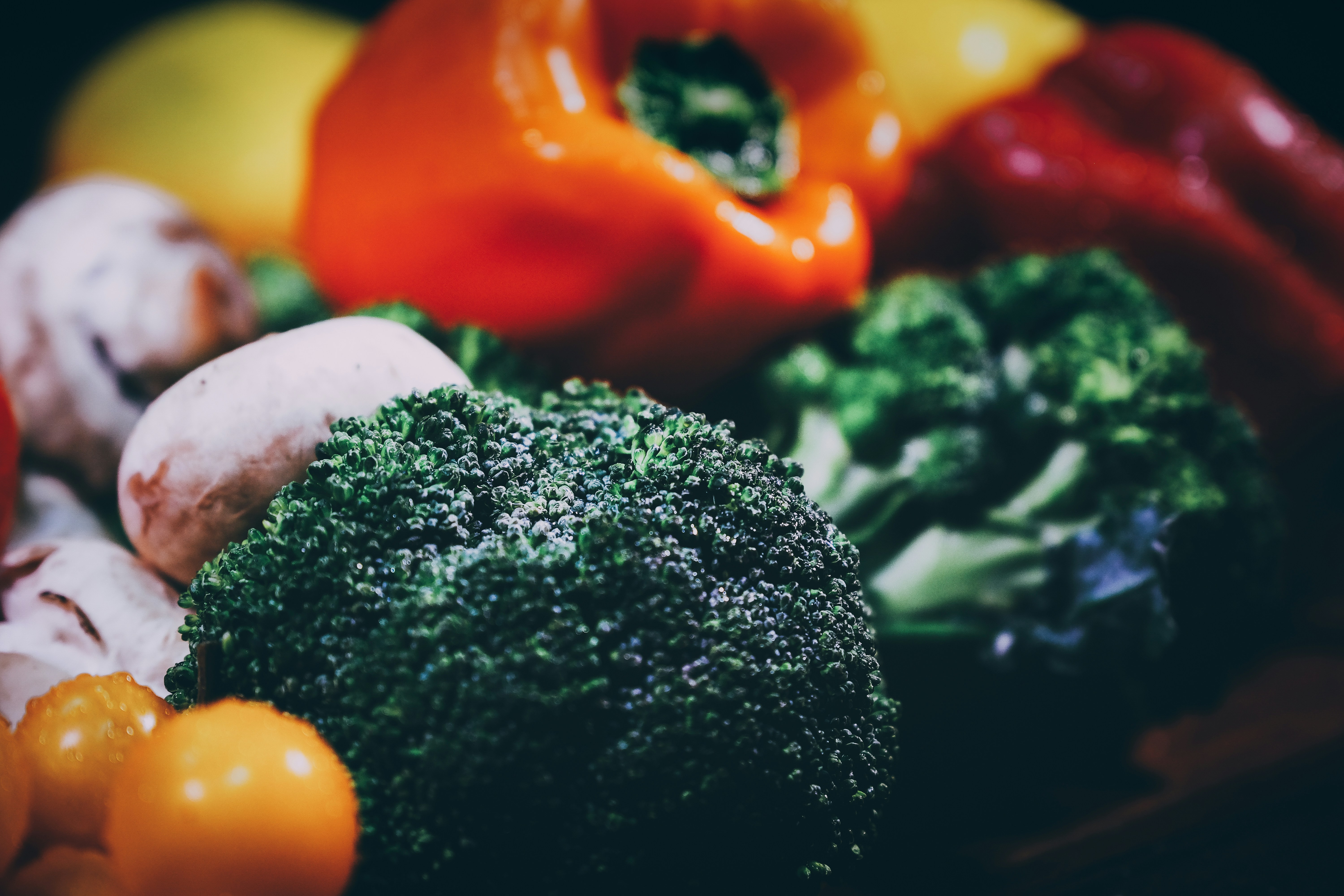 Evidence and Mechanisms of Low-Carb Diets for Energy Metabolism